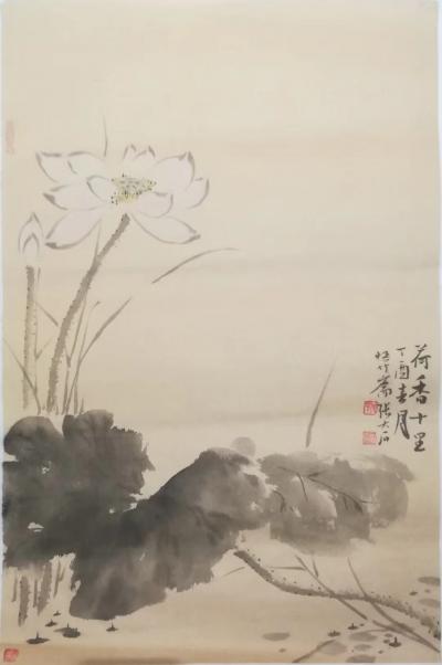 张大石日记-小花清新，宁静以明智！【图3】