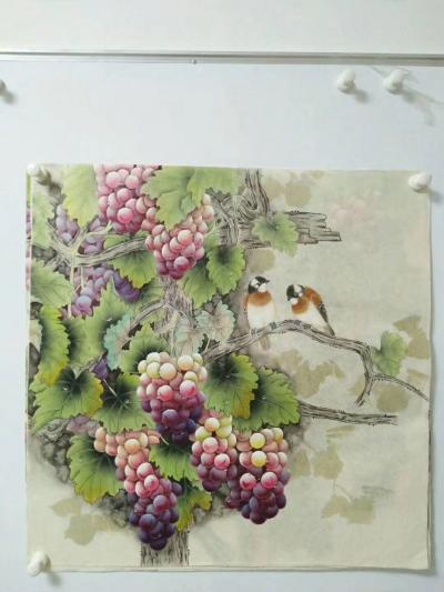 石海博日记-精品葡萄，【图2】