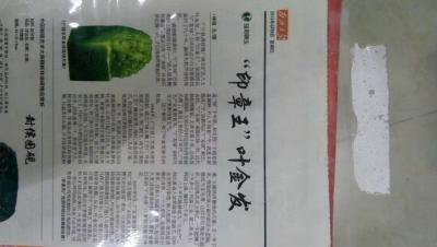 绿玉姿工艺厂叶金发荣誉-西江日报撰文报道【图1】