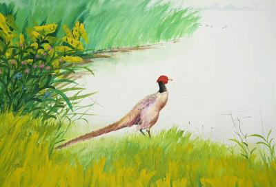 王征明日记-这些年我水意画的内容，如果以中国画种类来看有：花鸟、山水，如果以西画分类只有风景【图6】