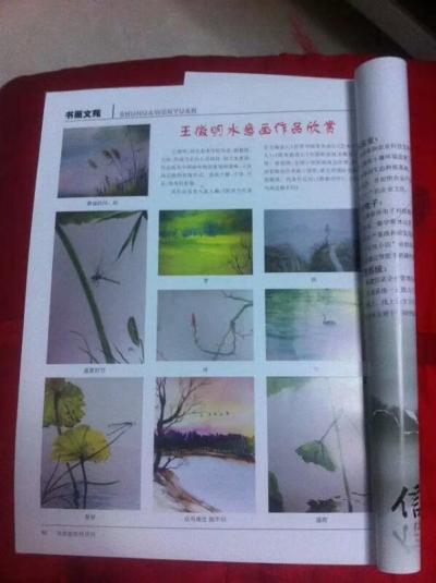 王征明荣誉-【图2】