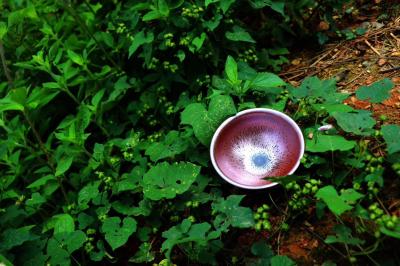 呈祥建盏日记-品       牌：硕丰建盏
品       名：紫鸾·鎏金
规      【图8】