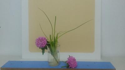 蔡国英生活-生活中不全是玫瑰，再简单的事物同样可以入画，早安亲们！【图1】