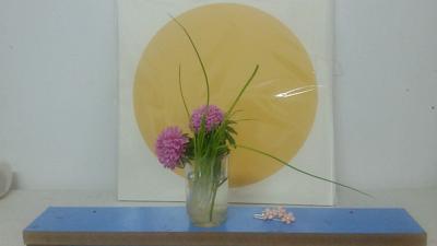 蔡国英生活-生活中不全是玫瑰，再简单的事物同样可以入画，早安亲们！【图2】