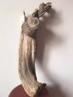 艺术家张英华--木缘艺栈日记:晒晒我的宝贝～崖柏【图1】