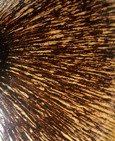 呈祥建盏日记-建盏
『野兔豪』『金兔豪』
我只服你【图4】