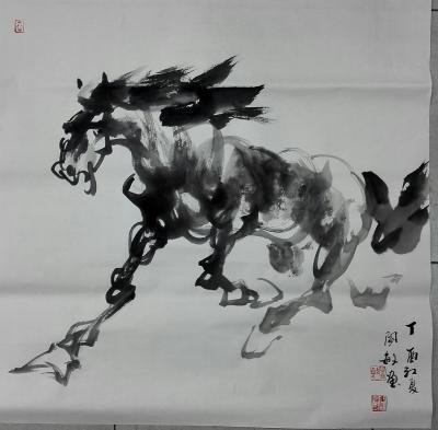 阎敏日记-骏马乘风，砥砺前行!【图6】