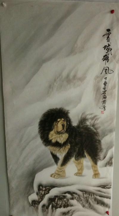 石海博日记-雪原卫士，精品藏獒【图2】