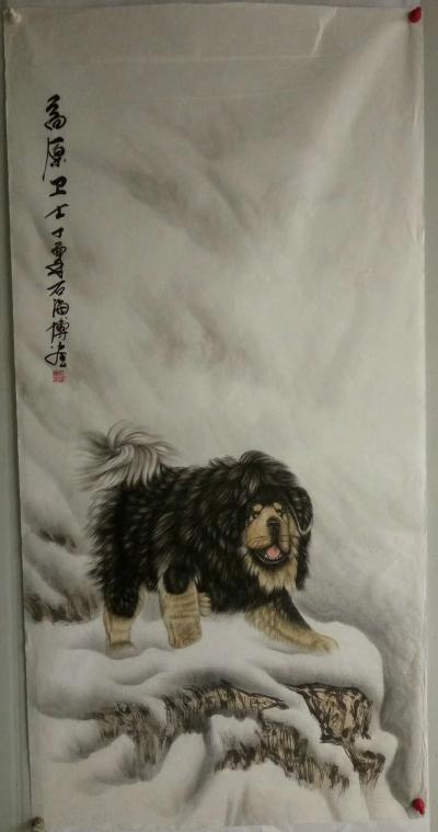 石海博日记-雪原卫士，精品藏獒【图3】