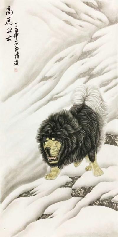 石海博日记-雪原卫士，精品藏獒【图4】