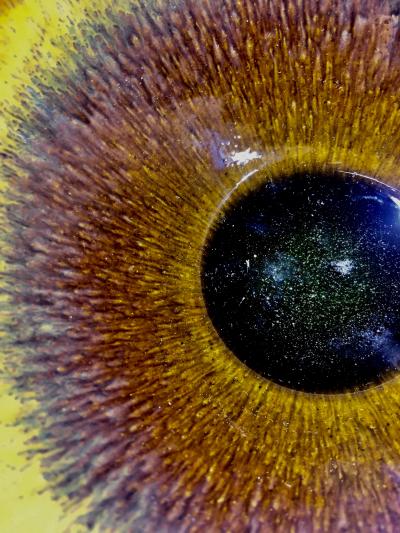 呈祥建盏日记-厦门文博会-海峡工艺精品奖，《龙窑柴烧窑变釉绿毫束口壶》已入围第五届海峡工艺精品【图4】