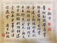 艺术家石广生日记:一边练习一边想，古人没有微信，靠书笺往来，即便是抠女，也是尺【图0】