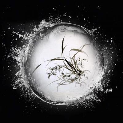 周牧天生活-周牧天水墨兰花【图3】