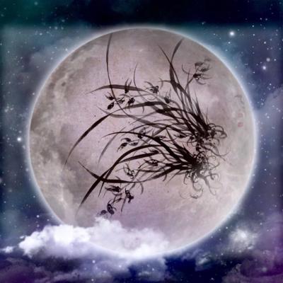 周牧天生活-周牧天水墨兰花【图9】