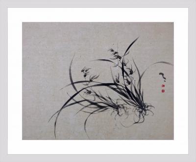 周牧天日记-周牧天水墨兰草【图3】