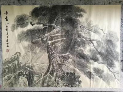 李崇山日记-国画（长青）作者，李崇山【图1】