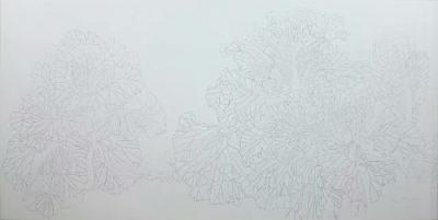 傅饶日记-工笔白菜的绘制步骤，傅饶【图1】