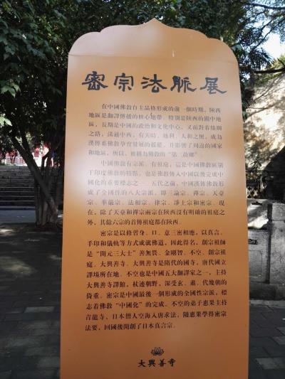 尚建国生活-赴佛教密宗祖庭大兴善寺，拜会省佛教协会常务付会长宽旭大和尚，沐浴佛光。【图9】