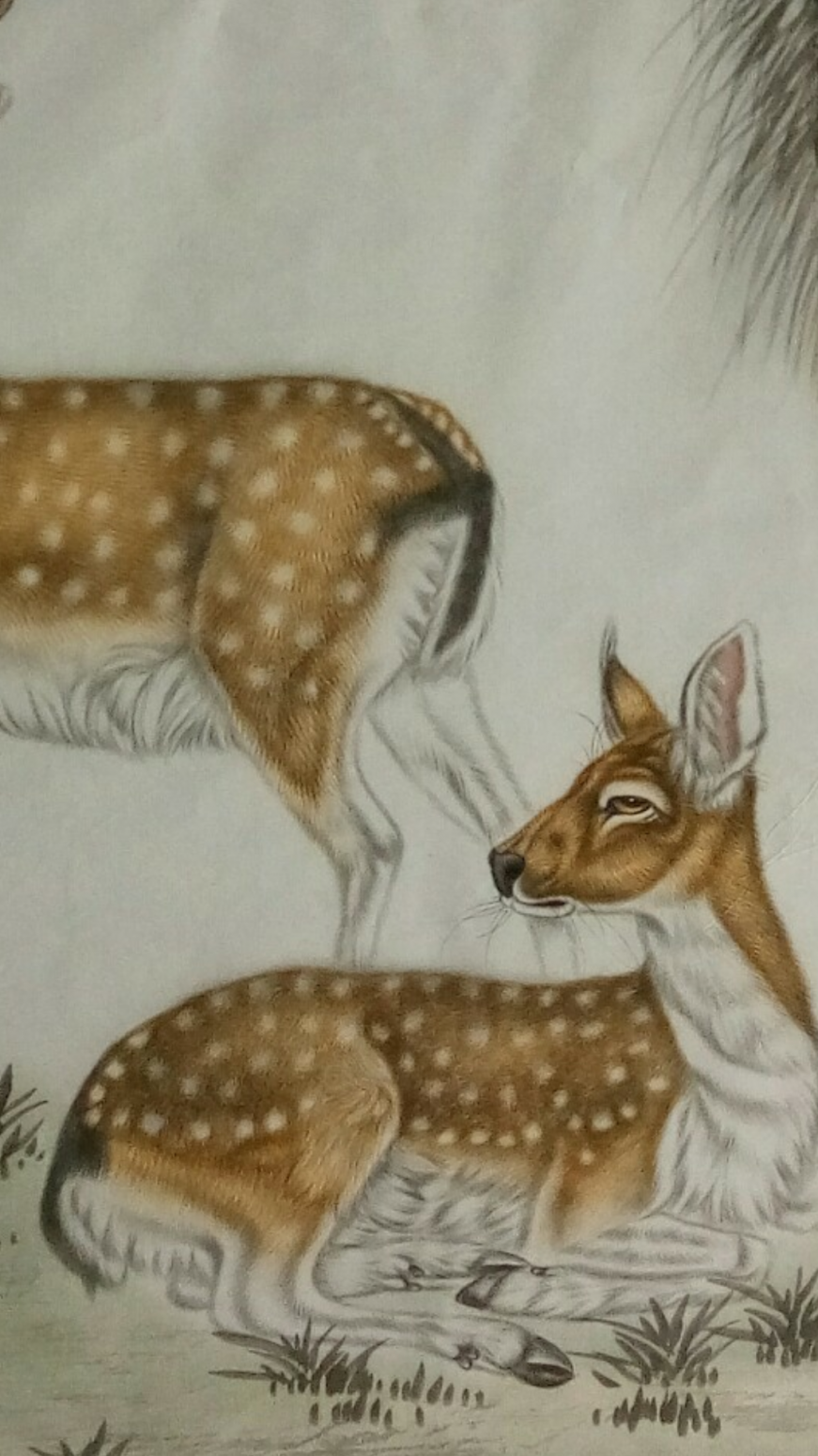 石海博国画作品《福禄图》【图0】