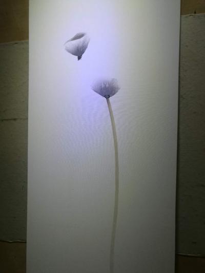 徐继良日记-感谢德云社御用设计师秦总!【图6】