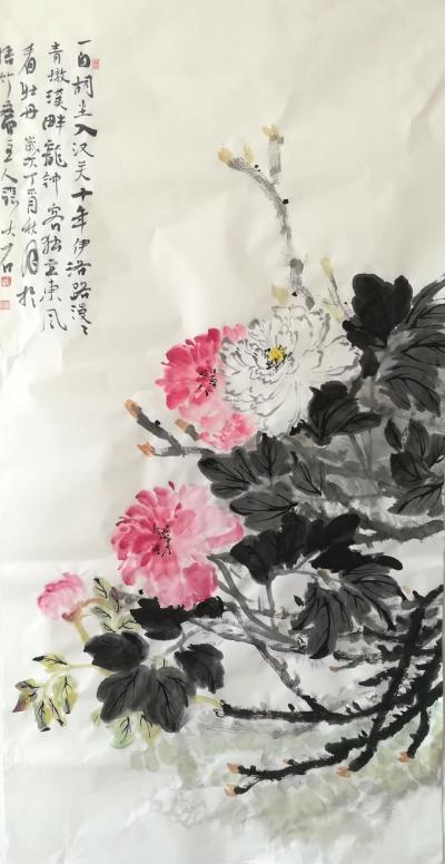 张大石日记-我的牡丹系列，和大家分享一下【图5】