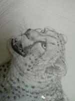 艺术家刘晓军日记:刘晓军原创素描【图3】