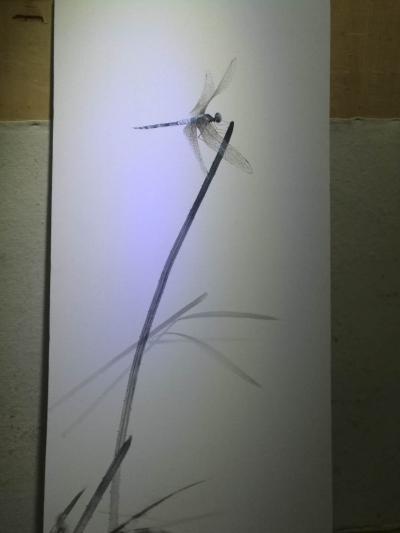 徐继良日记-德云社御用大设计师,秦总订单继续!【图2】