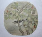 常兰群日志-常兰群，中国美术家协会会员，工笔花鸟画家，写生创作团扇百图系【图4】