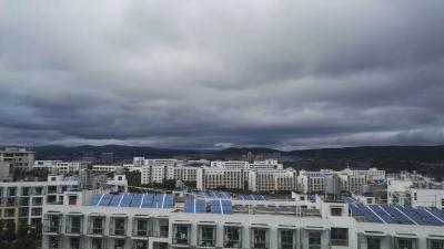 戴建华日记-《生命的涌动——光的世界》布面综合材料，尺寸300*100cm，创作年代2017【图6】