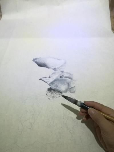 徐继良日记-真画石、【图2】