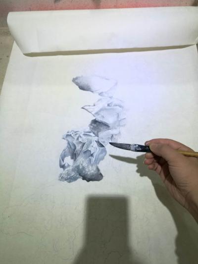 徐继良日记-真画石、【图3】