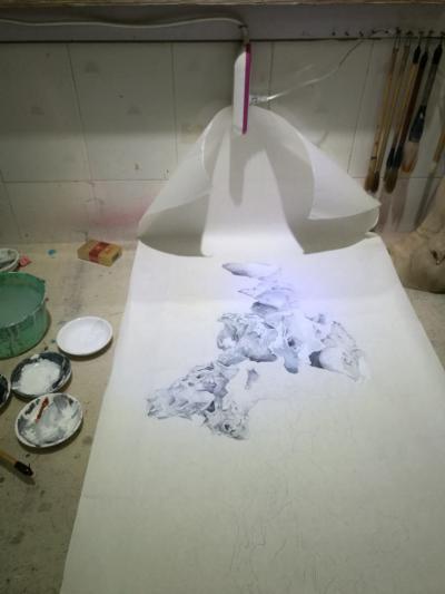 徐继良日记-真画石、【图5】