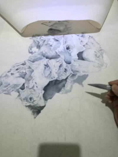 徐继良日记-画石就要变面包了【图1】