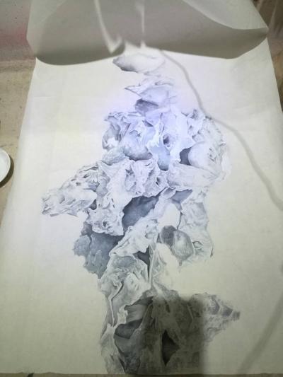 徐继良日记-画石就要变面包了【图2】