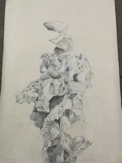 徐继良日记-画石就要变面包了【图3】