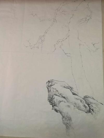 徐继良日记-岁寒三友【图1】