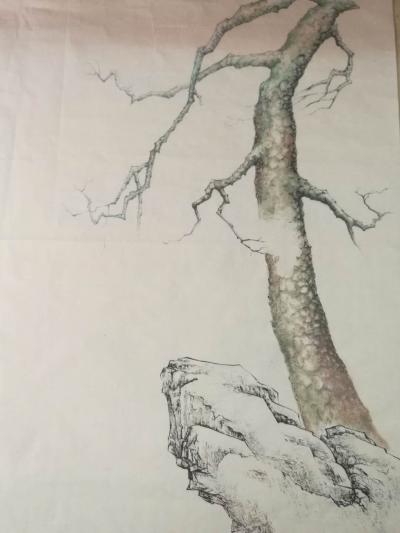 徐继良日记-岁寒三友【图2】