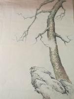 艺术家徐继良日记:岁寒三友【图1】