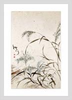 艺术家周牧天日记:狗尾巴草是默默无闻的代表，没有荷花的清香，没有曼珠莎华的妖娆【图1】