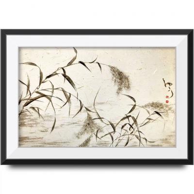 周牧天日记-狗尾巴草是默默无闻的代表，没有荷花的清香，没有曼珠莎华的妖娆，然而，它却有着自己【图6】