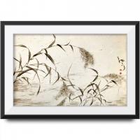 艺术家周牧天日记:狗尾巴草是默默无闻的代表，没有荷花的清香，没有曼珠莎华的妖娆【图5】