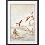 周牧天日志-～～～天冷了，栖息的鸟儿也飞走了，此象有如女人，一冷就飞，连【图1】