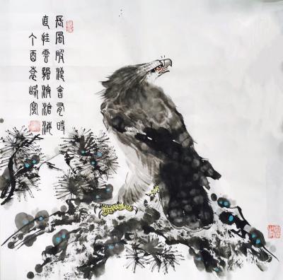 袁峰日记-鹰姿百态！【图1】