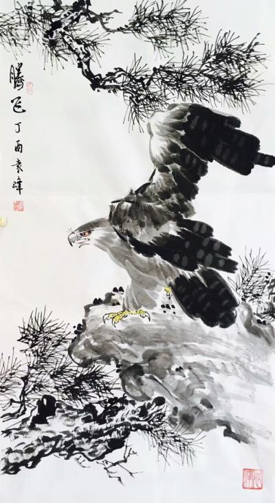 袁峰日记-鹰姿百态！【图2】