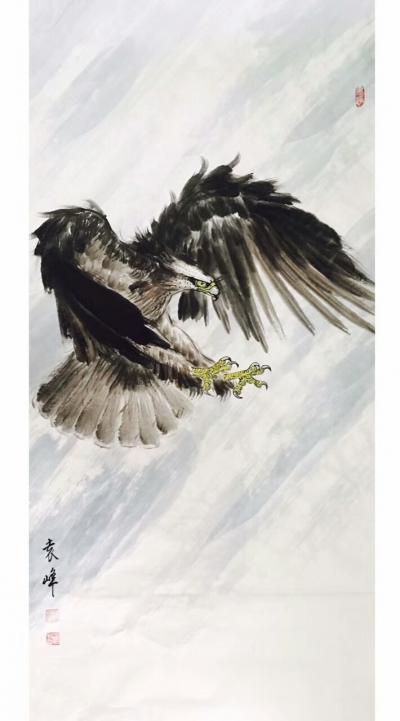 袁峰日记-鹰姿百态！【图3】