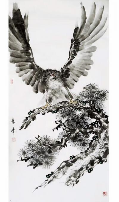 袁峰日记-鹰姿百态！【图5】