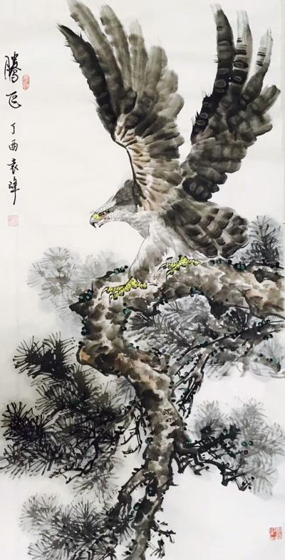 袁峰日记-鹰姿百态！【图6】