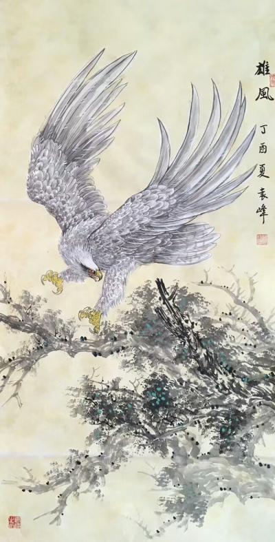 袁峰日记-鹰姿百态！【图7】