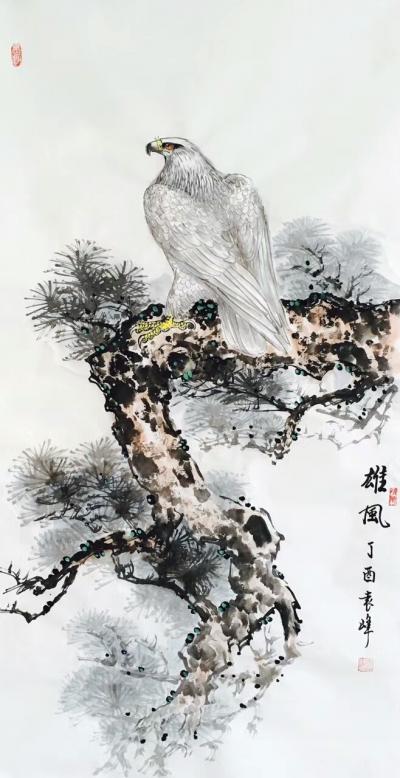 袁峰日记-鹰姿百态！【图8】