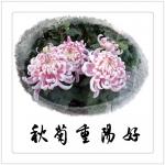 满江宁日志-最新作品，大家共赏【图2】